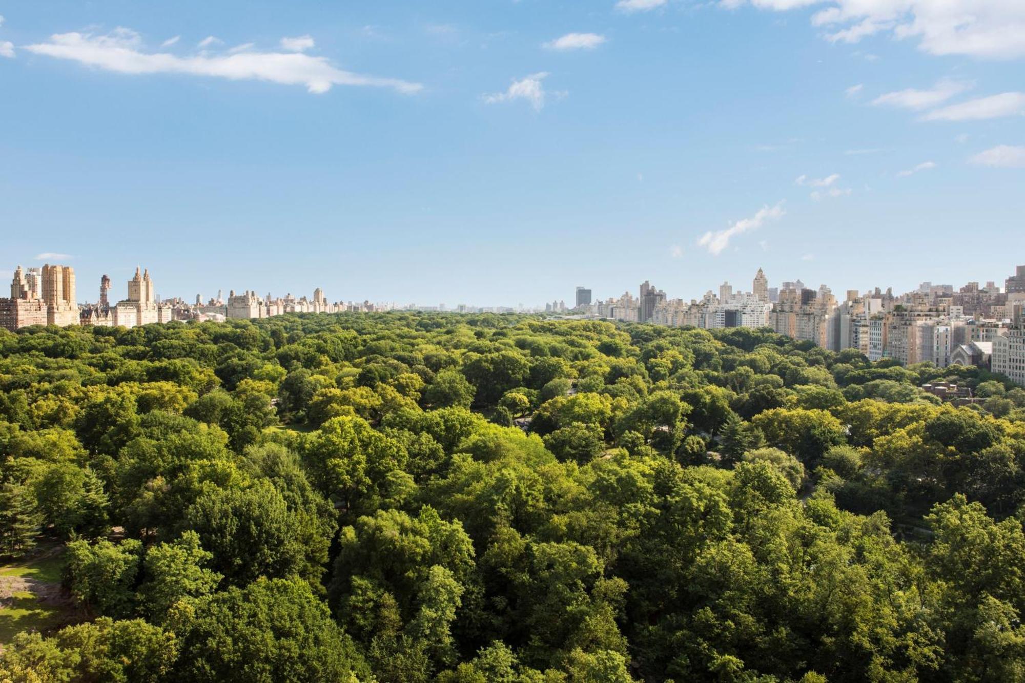 The Ritz-Carlton New York, Central Park Kültér fotó
